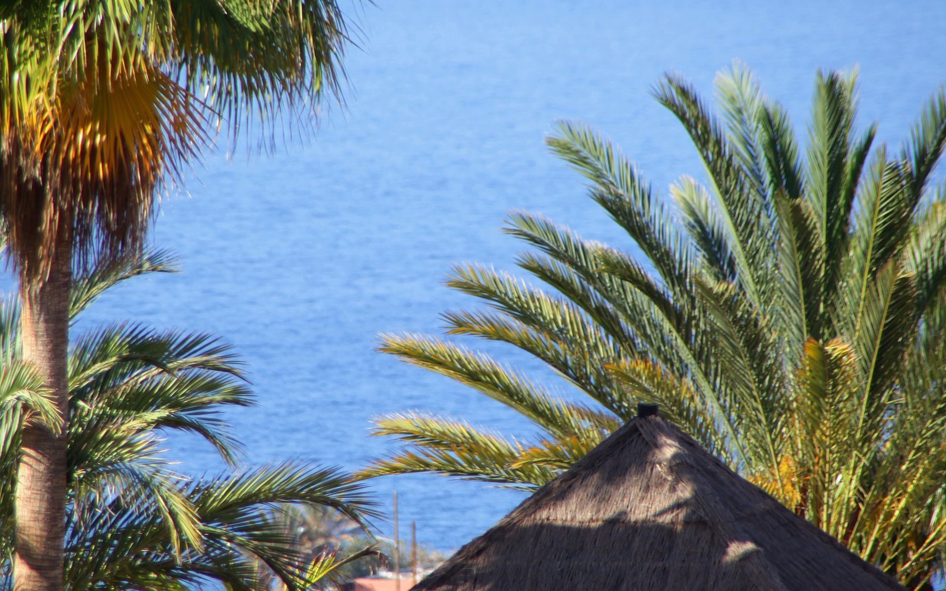 ホテル Bahia Principe Sunlight Costa Adeje エクステリア 写真
